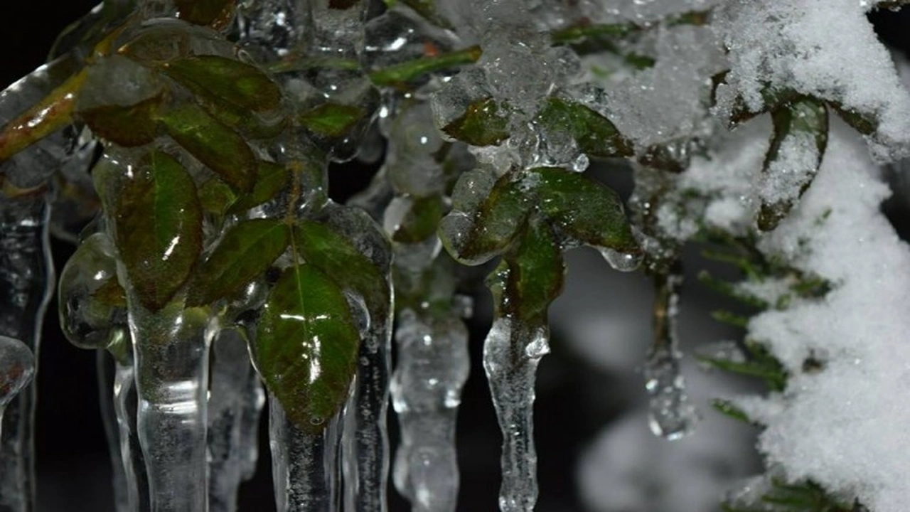 تحذير لمرتادي المملكة من خطر تشكل الصقيع في عدة مناطق خلال يوم السبت